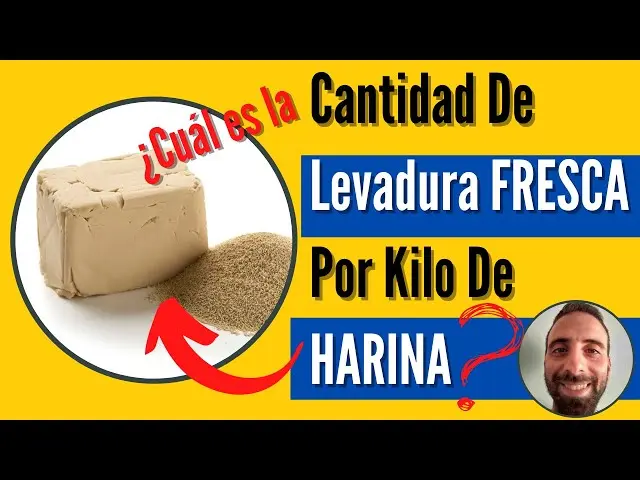 Cantidad de levadura fresca por kilo de harina para pizza - Cómo calcular la levadura fresca cantidad de levadura fresca por kilo de harina para pizza - Cómo calcular la levadura fresca