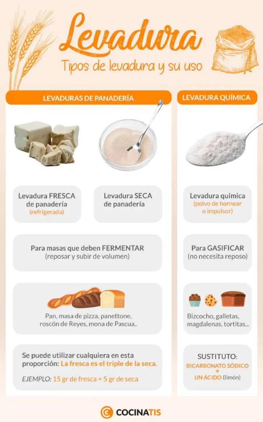 Cantidad de levadura para pizza: ¿Cómo calcularla correctamente? - Cómo calcular la levadura seca para pizza cantidad de levadura para pizza - Cómo calcular la levadura seca para pizza