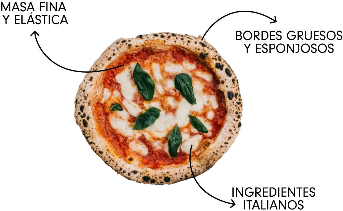 Características de la pizza - Cómo es la textura de la pizza caracteristicas de la pizza - Cómo es la textura de la pizza