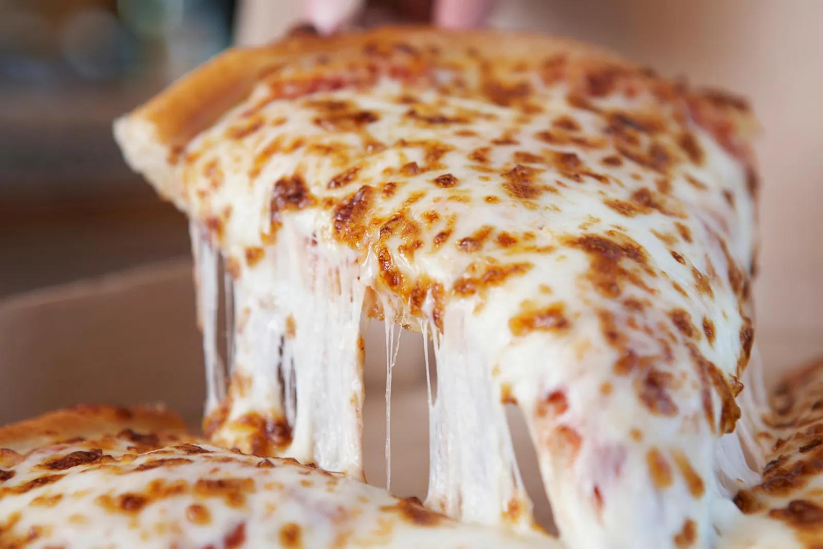 Melted Pizza: La Deliciosa Fusión de Sabores en un Solo Bocado - Cuánto se gana en Melt pizza melted pizza - Cuánto se gana en Melt pizza