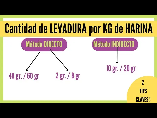 Cantidad de levadura fresca por kilo de harina para pizza - Cuántos gramos de levadura fresca lleva un kilo de harina cantidad de levadura fresca por kilo de harina para pizza - Cuántos gramos de levadura fresca lleva un kilo de harina