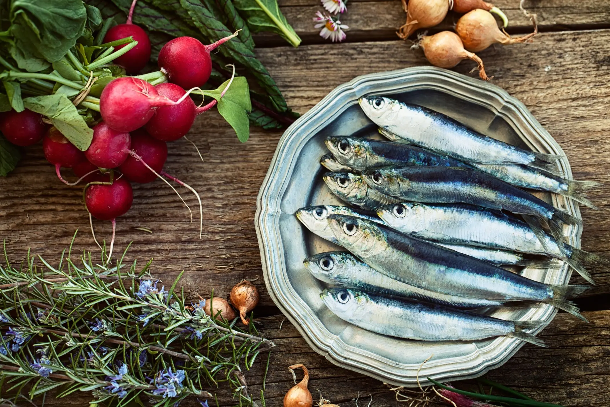 pizza de sardinas - Cuántos tipos de sardinas hay